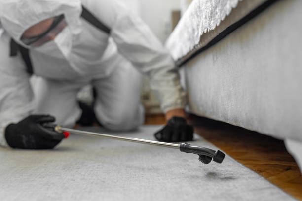 Professional Cockroach Control technician working in New Cassel, NY