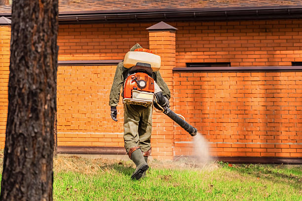 Trusted Cockroach Control service in New Cassel, NY - Nex Pest Control